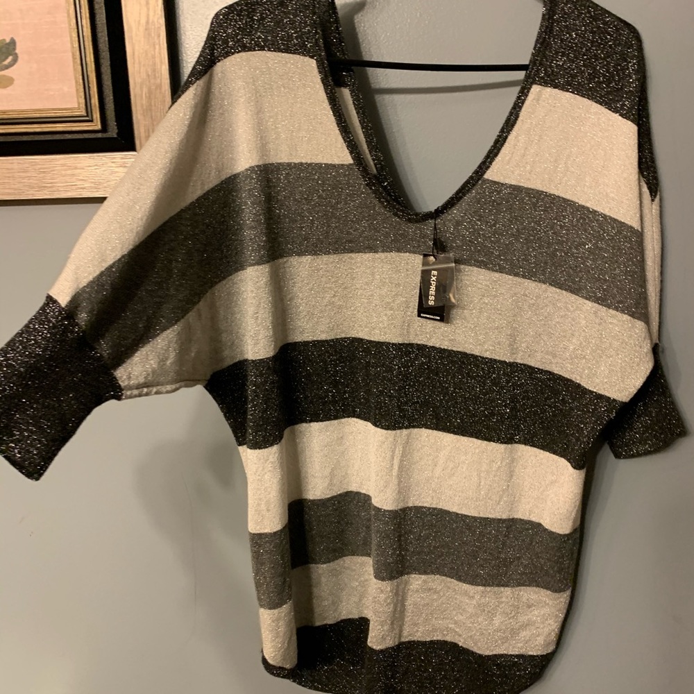 NWOT Express Large Sparkle Dolman Sleeved v-Neck